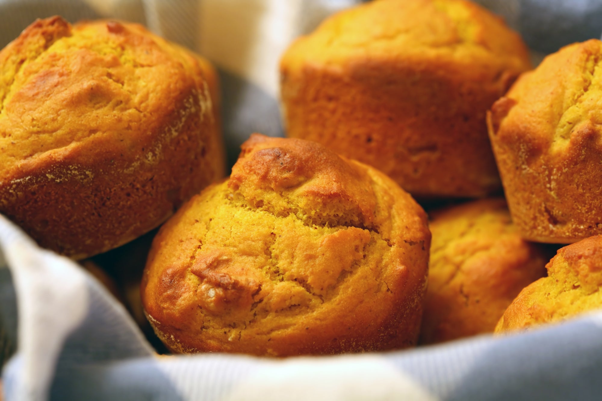TrueFit protein powder pumpkin muffin