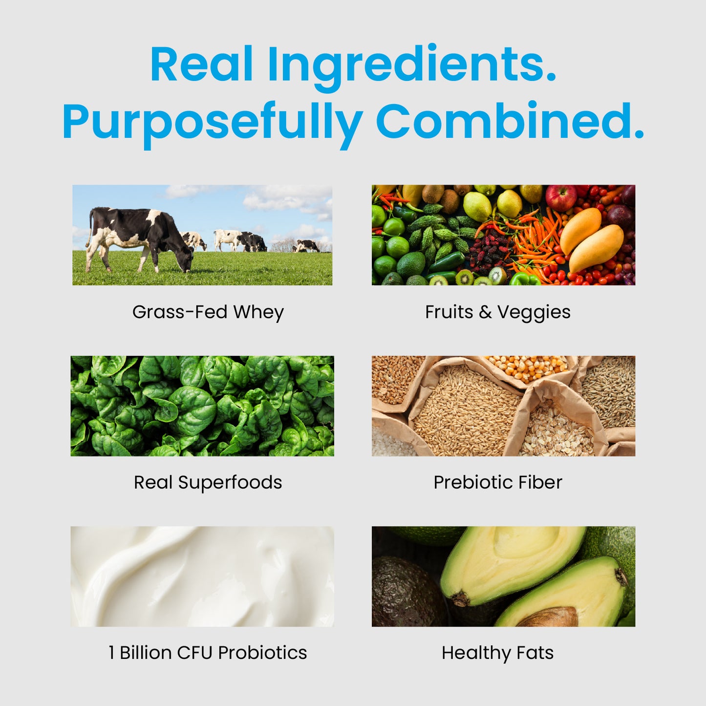 TrueFit Protein Powder- Chocolate