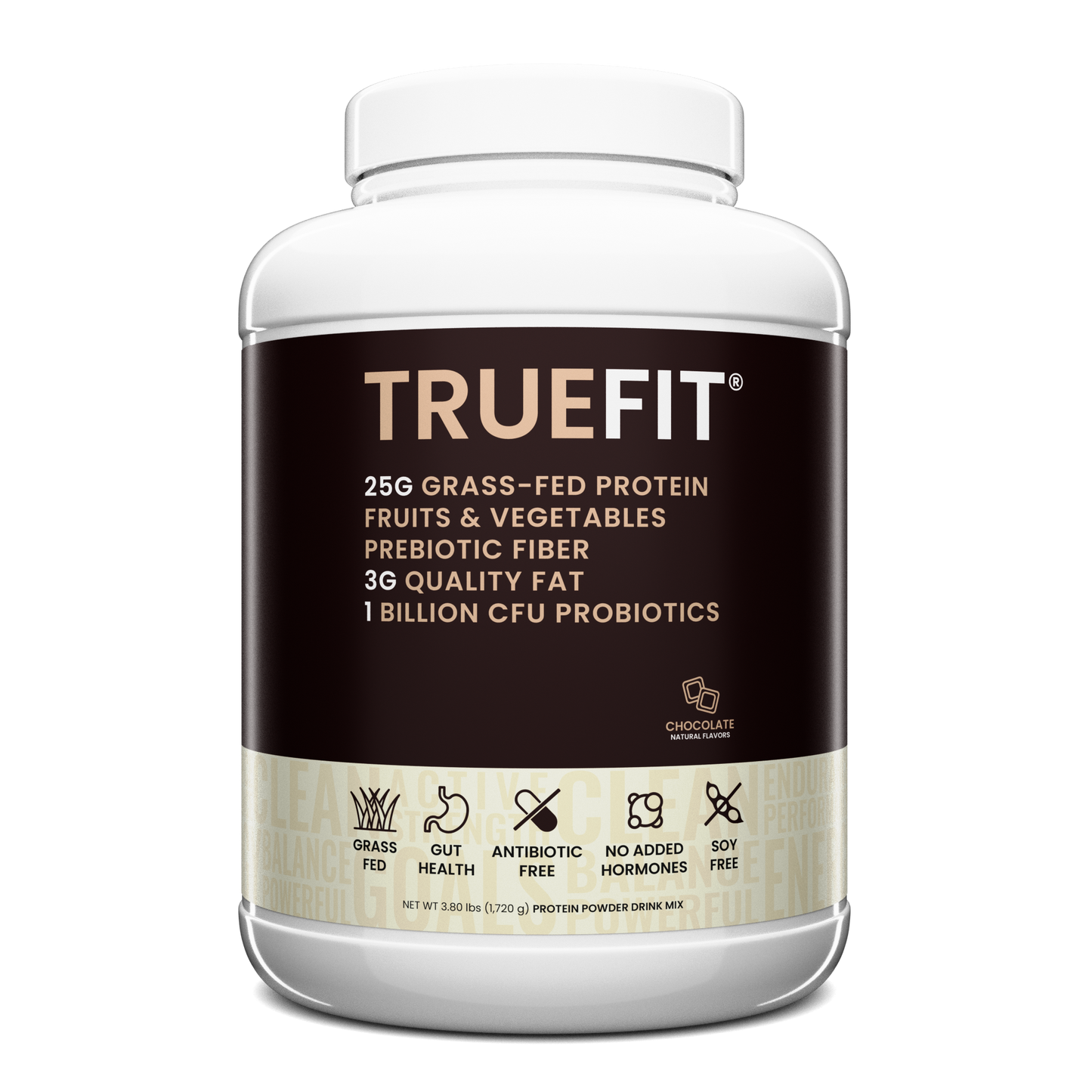 TrueFit Protein Powder- Chocolate